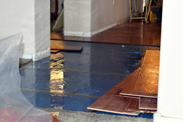 Professional Burst Pipe Cleanup technician working in Clarion, PA
